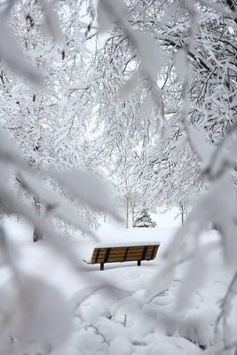 Winter is Fast Approaching, 5 Ways to Keep Your Restaurants Safe & Warm this Season